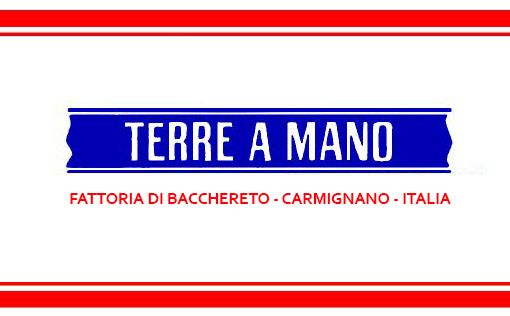 Fattoria di Bacchereto logo