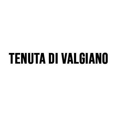 Tenuta di Vagliano logo