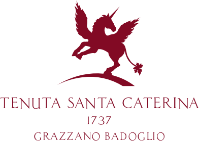 Santa Caterina logo
