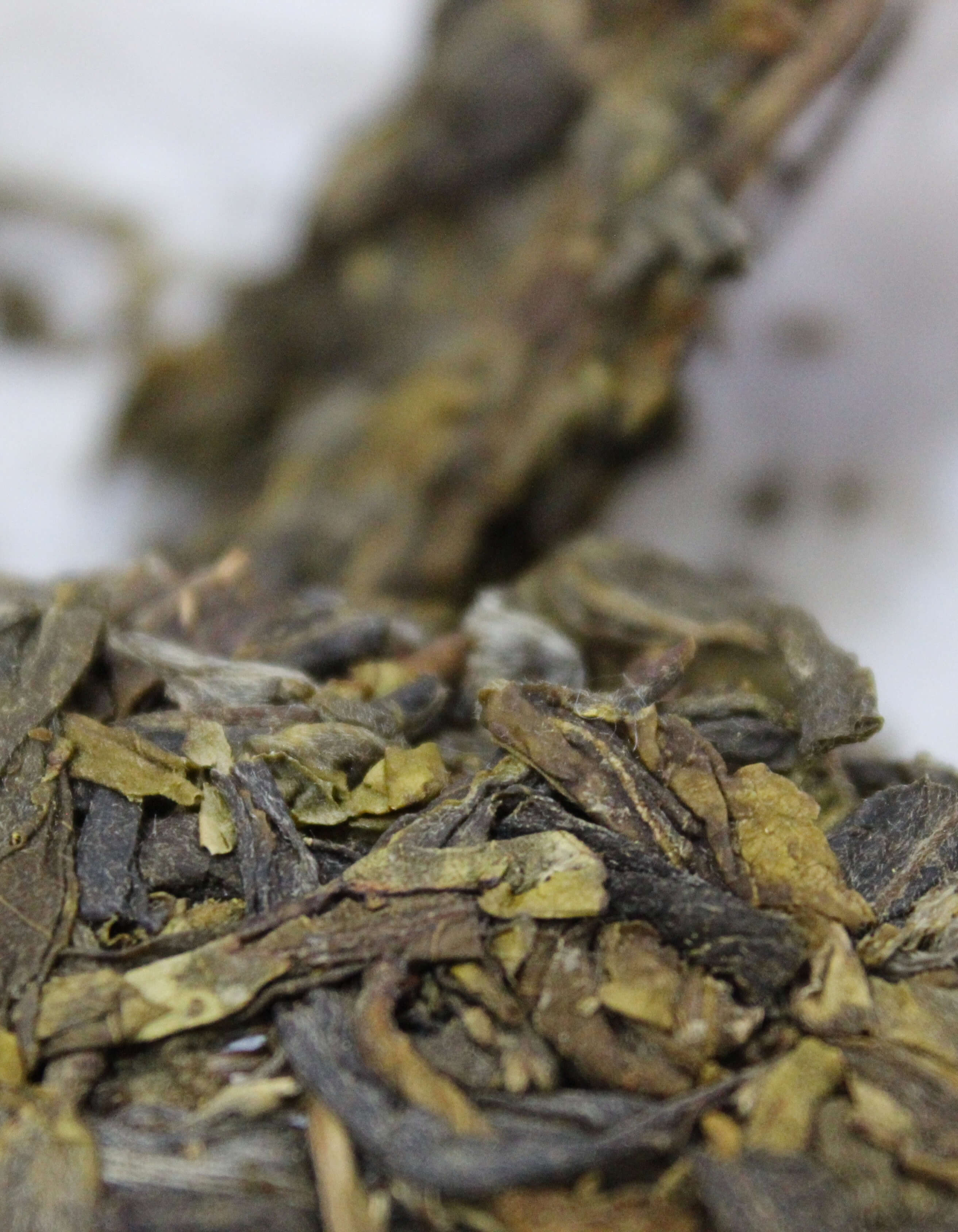 Close-up of twisted dry sheng puer leaves, pale green and brown.