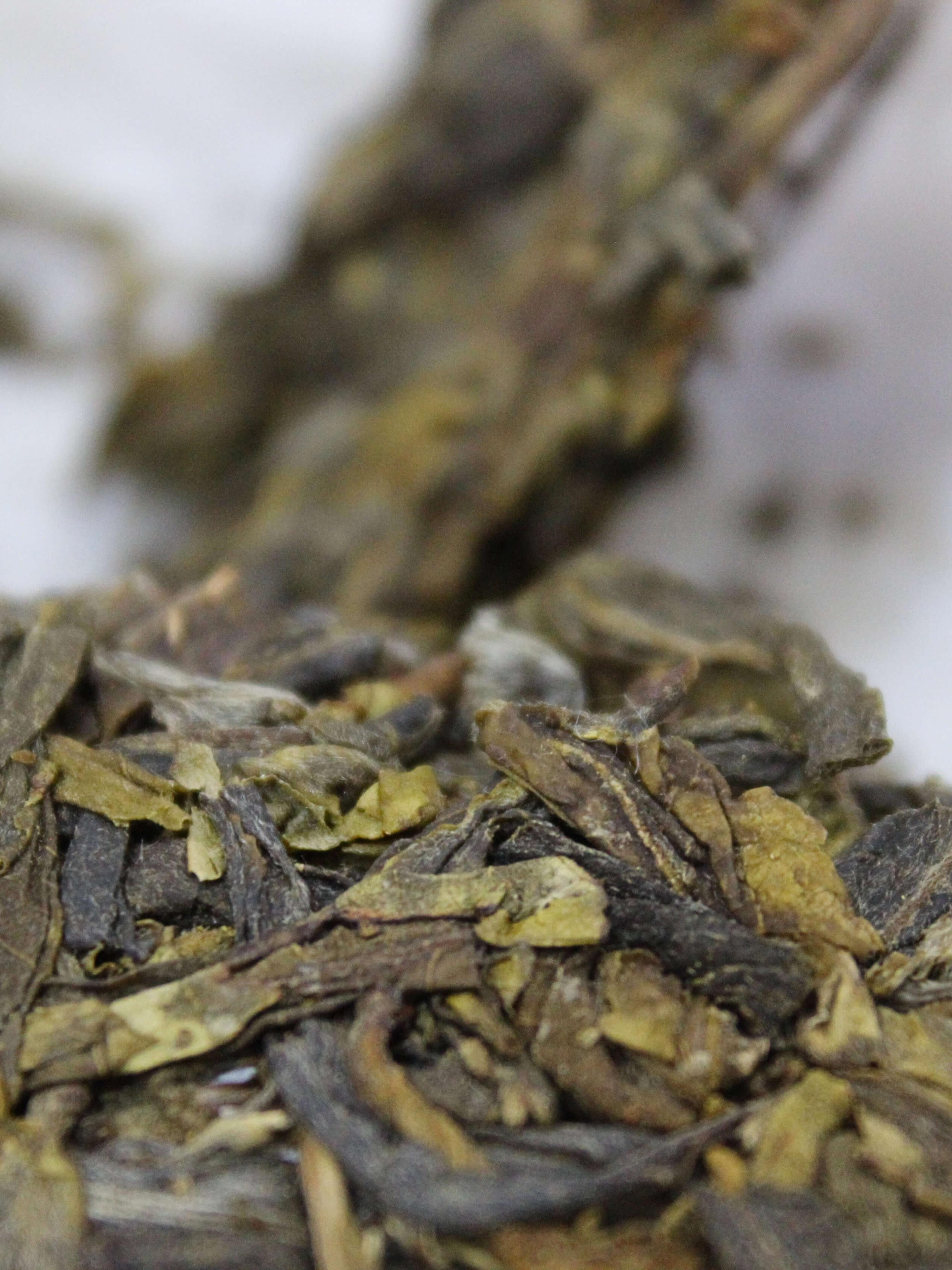 Close-up of twisted dry sheng puer leaves, pale green and brown.