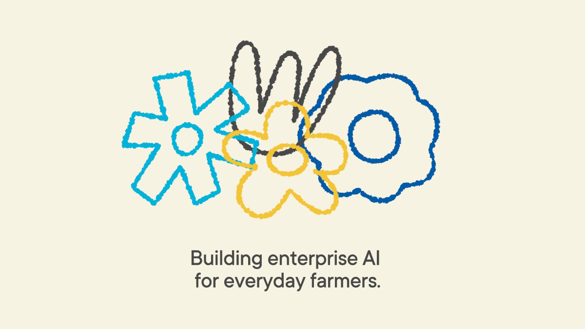 Brand design exploration for  Dicot _ Research on Flowers