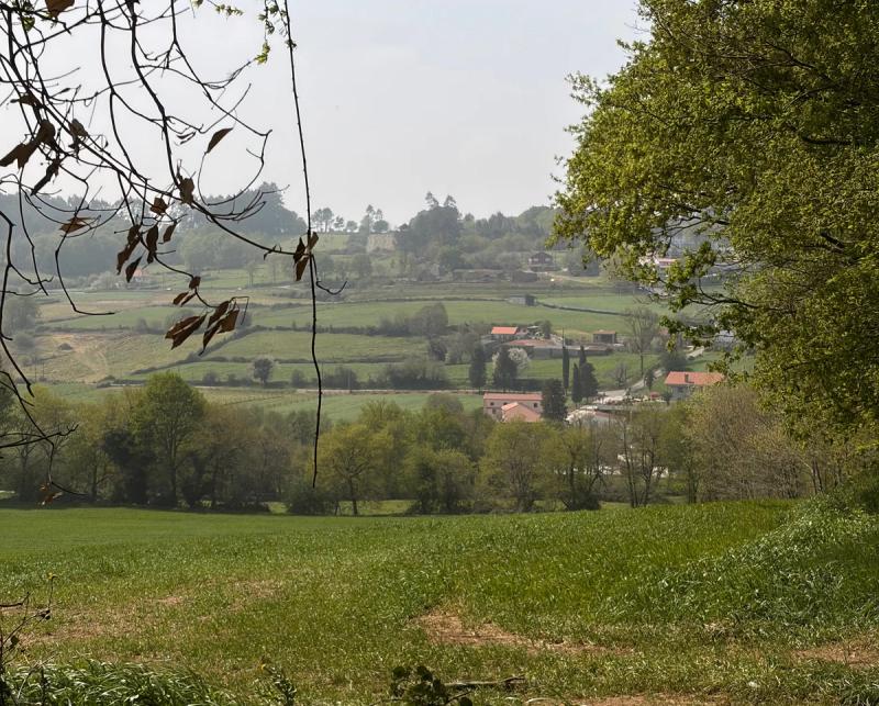 a telephoto picture of the hills in Galicia on the pilgrimage way of the Camino Francés.