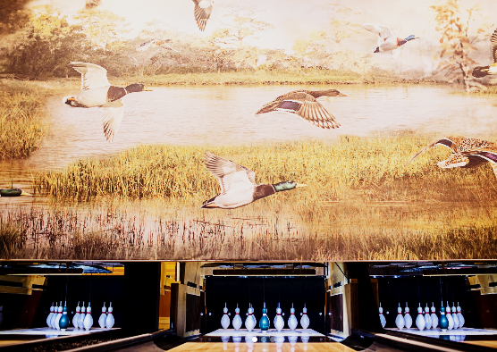 The Painted Duck