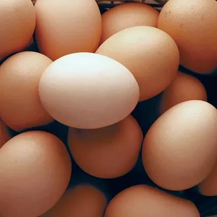 EGGS