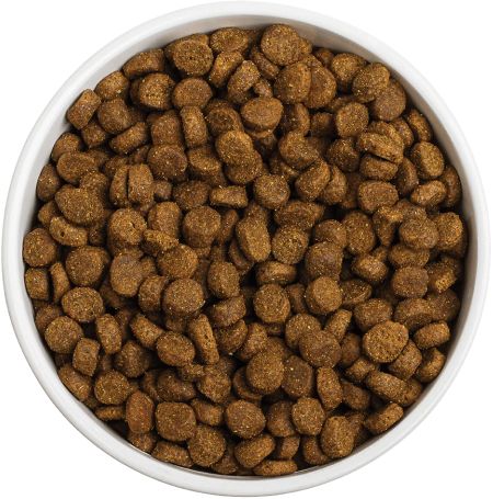 "premium" kibble