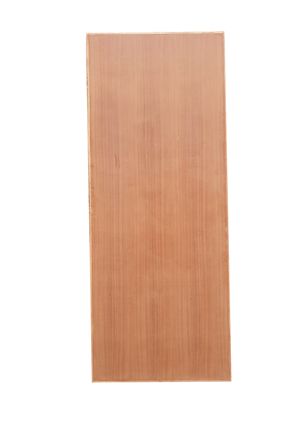 Veneer Flush Door