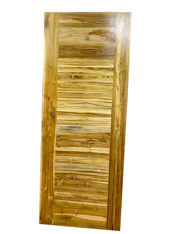 Custom TNG Door