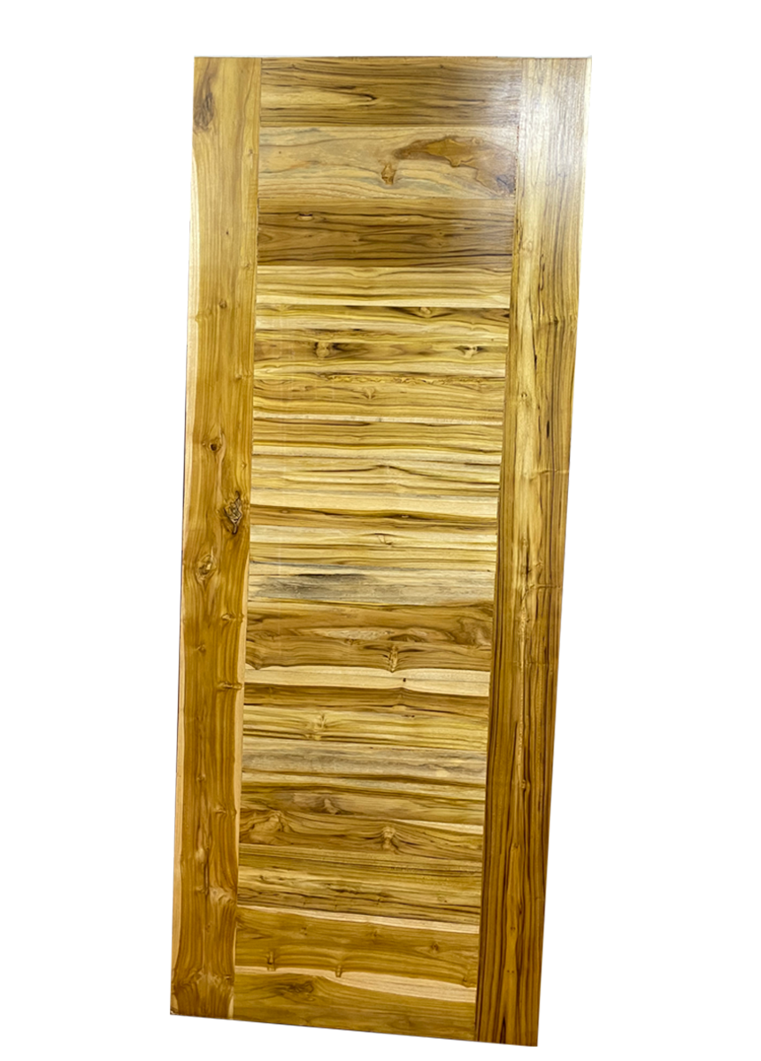 Custom TNG Door - 1 of 1