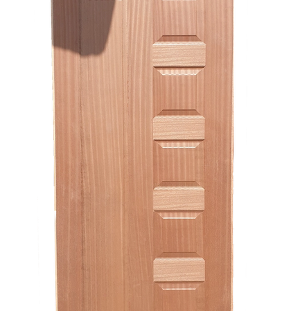 Embossed Flush Doors - View 1