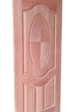 Embossed Flush Doors- view-1