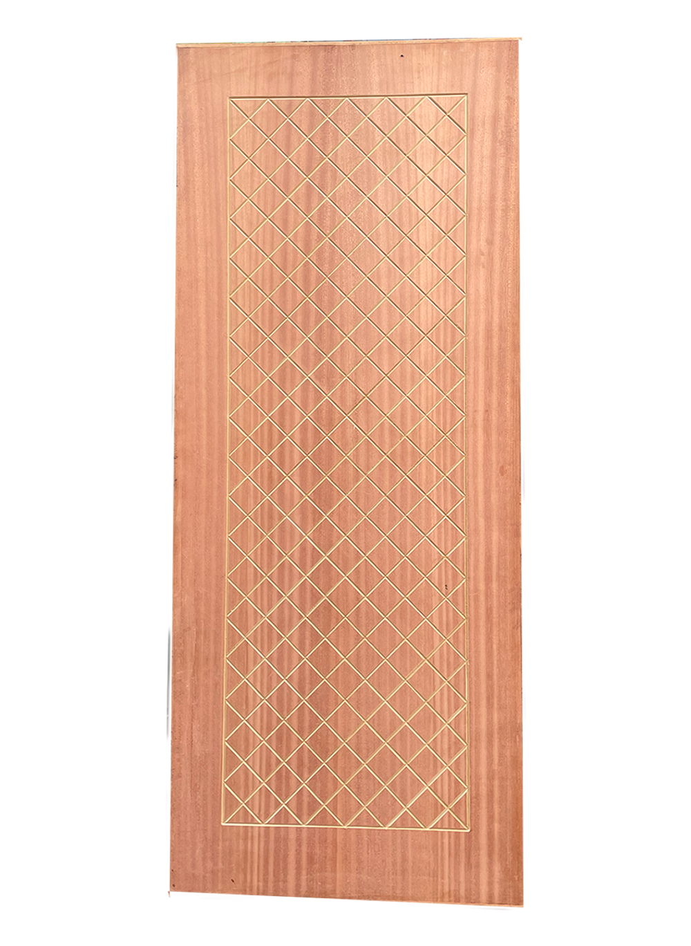 Interior wooden flush door with mesh