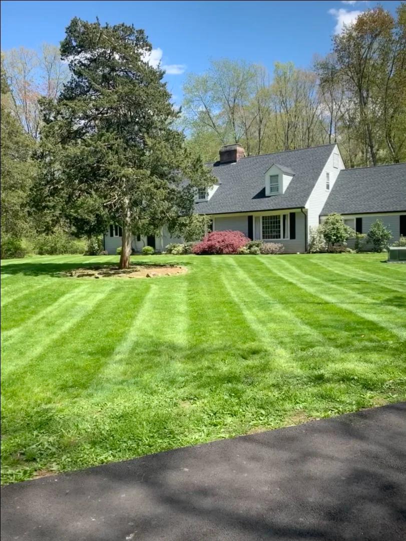 Full Lawn Aeration & Seeding - After