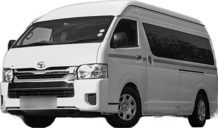 Mini Van