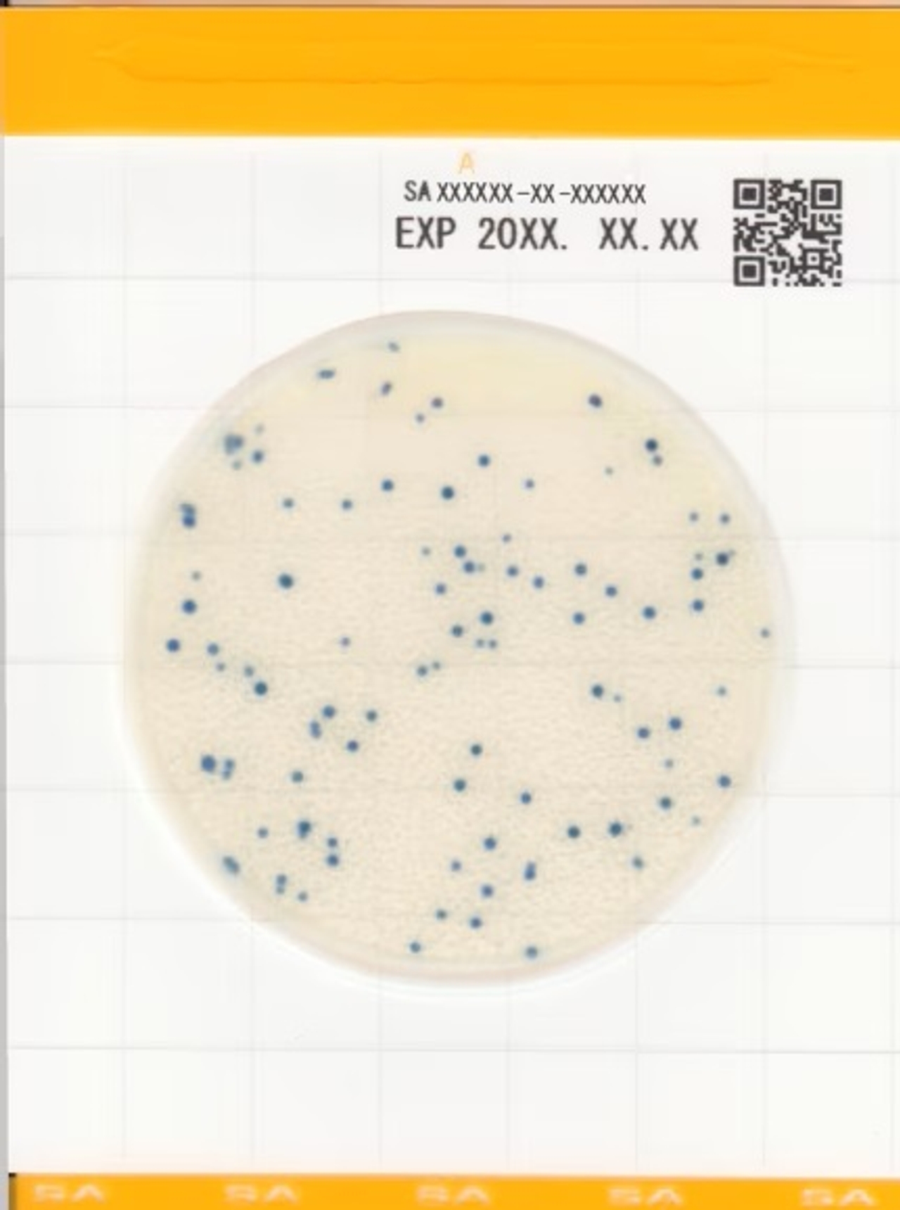 Đĩa Easy Plate SA kiểm tra nhanh Staphylococcus aureus