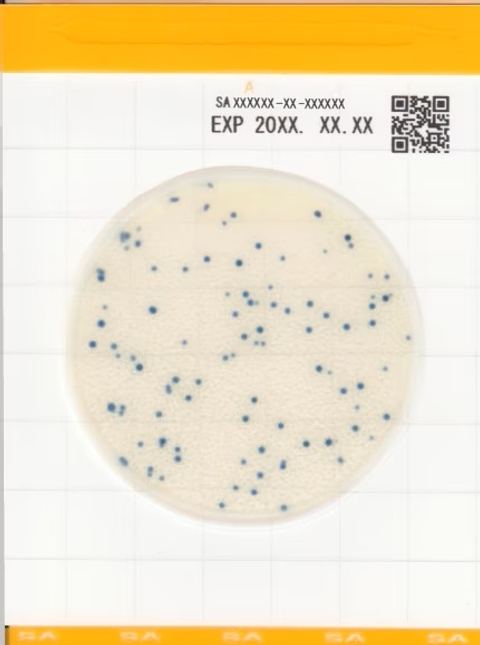 Đĩa Easy Plate SA kiểm tra nhanh Staphylococcus aureus