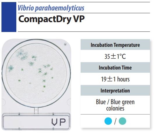 Đĩa Compact Dry VP