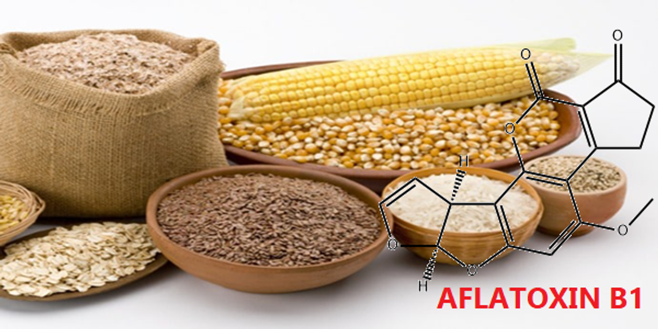 Aflatoxin B1
