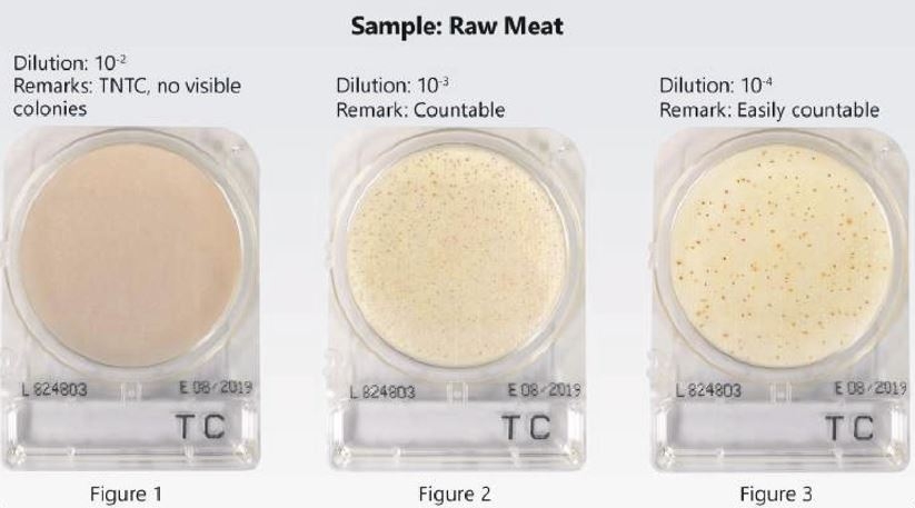 Đĩa Compact Dry trên nền mẫu thịt