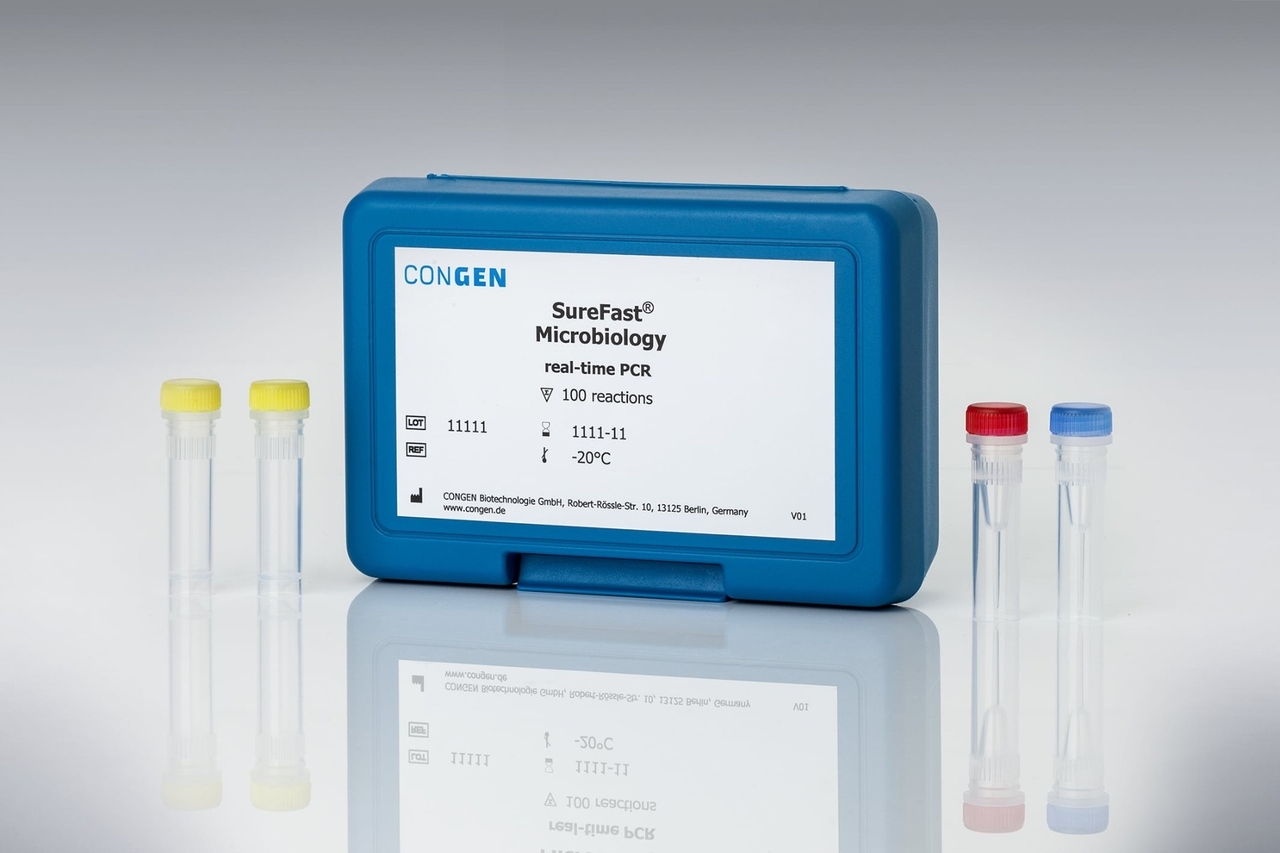 Kit Real-Time PCR Yersinia