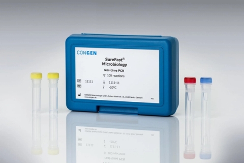 Kit Real-Time PCR Yersinia