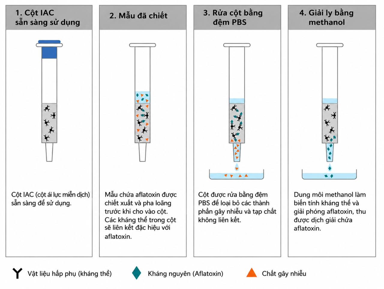 Quy trình sử dụng cột ái lực miễn dịch