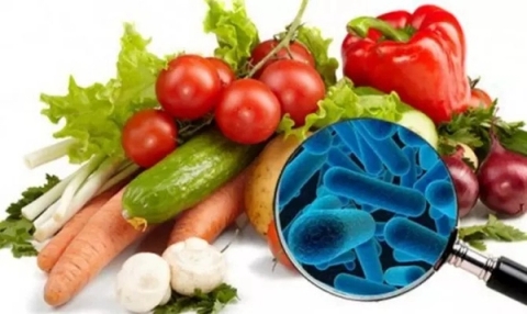 Vi khuẩn Listeria
