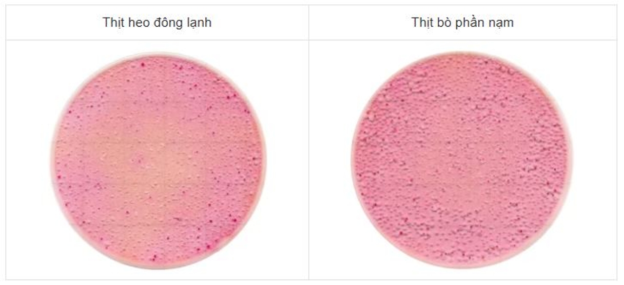 Mẫu thực phẩm trên đĩa Easy Plate EB