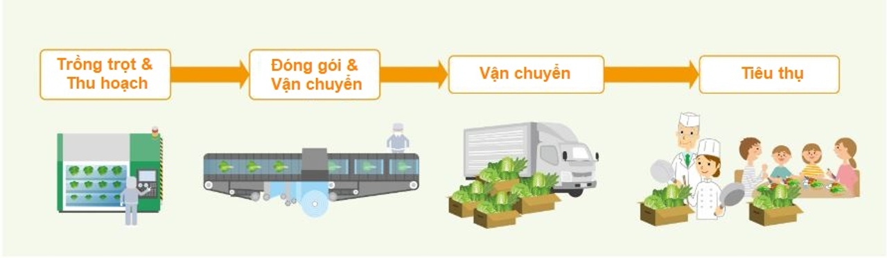 Thử nghiệm ATP tại nhà máy sản xuất