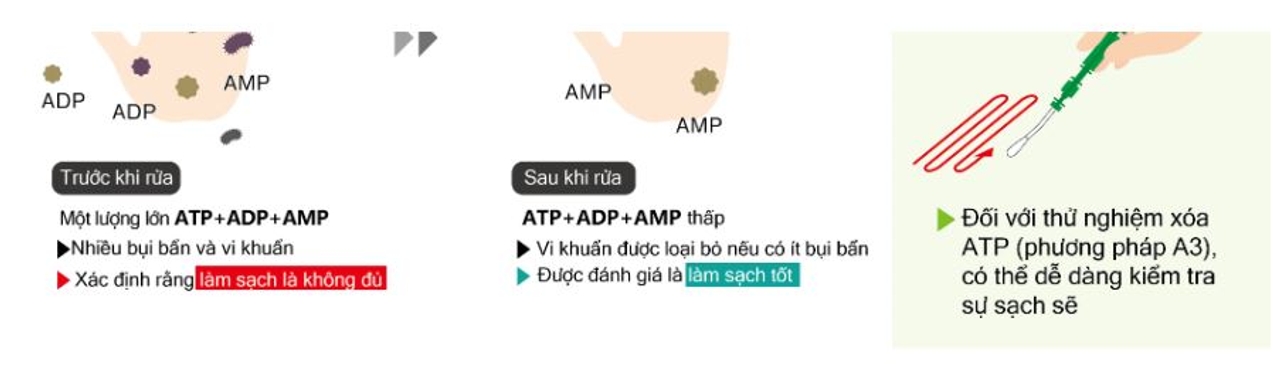 Sử dụng máy đo ATP cho quy trình quản lý vệ sinh tòa nhà