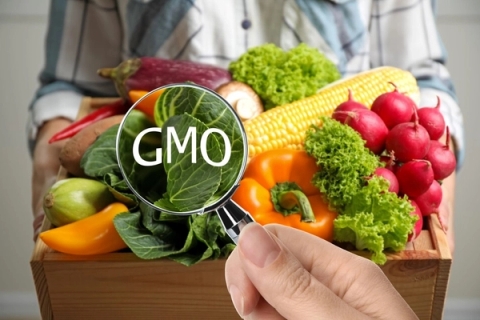 Chỉ tiêu GMO được phát hiện bằng phương pháp PCR của R Biopharm