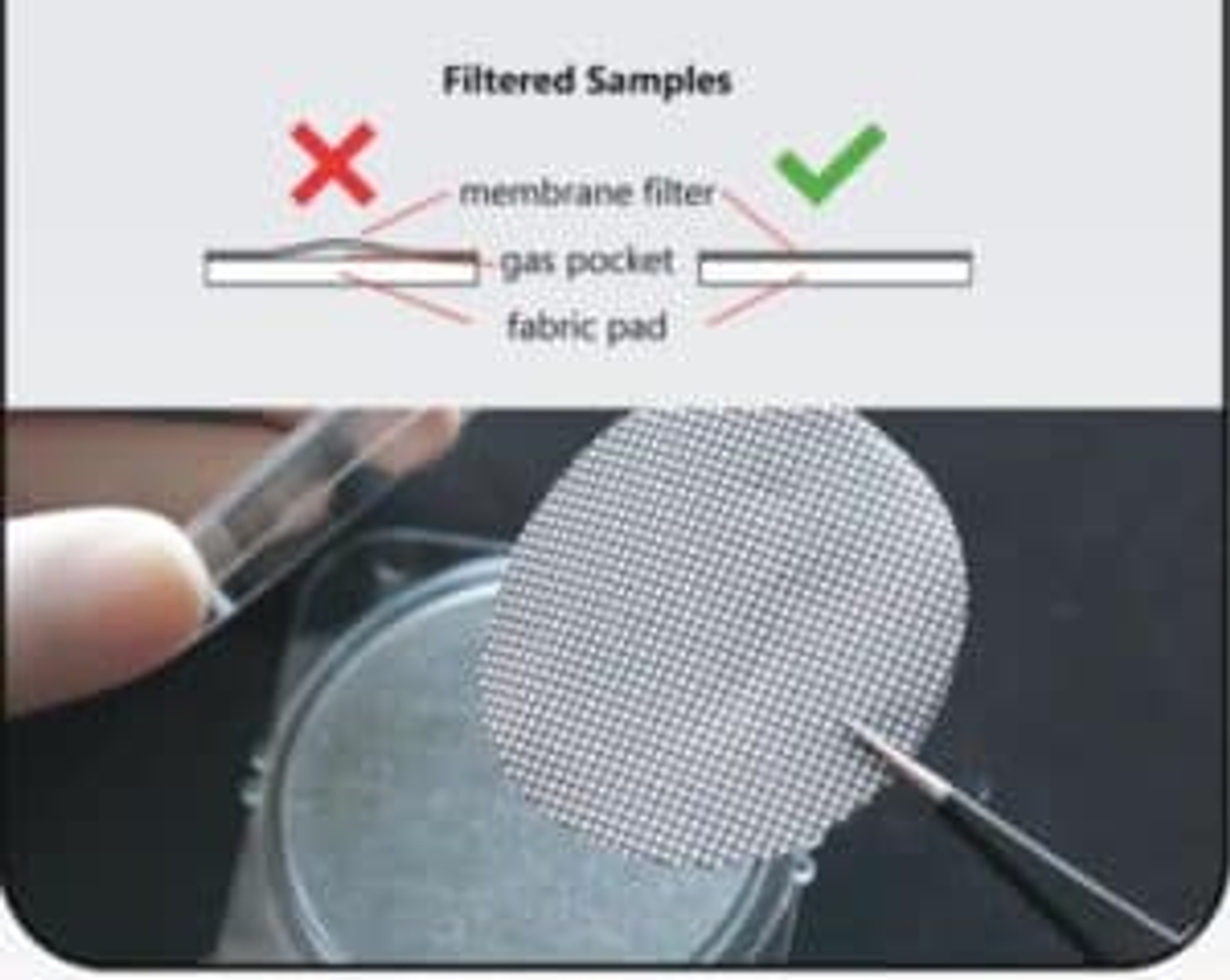 Phương pháp màng lọc Membrane