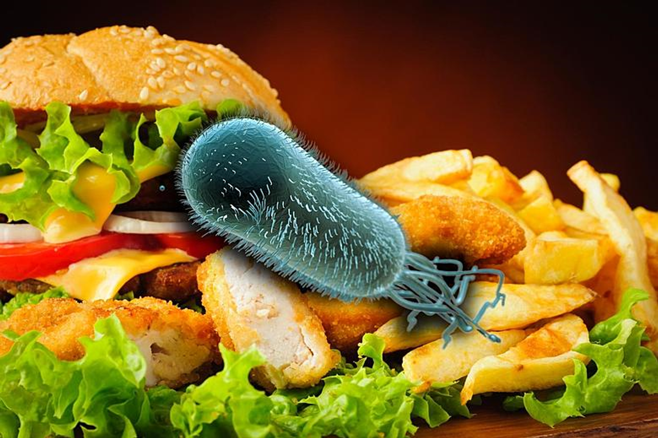 E.coli trong thực phẩm