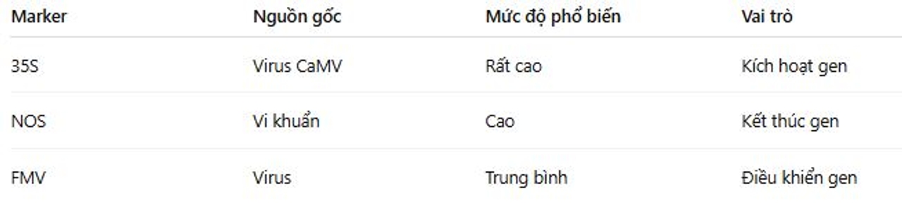 o sánh các marker GMO phổ biến