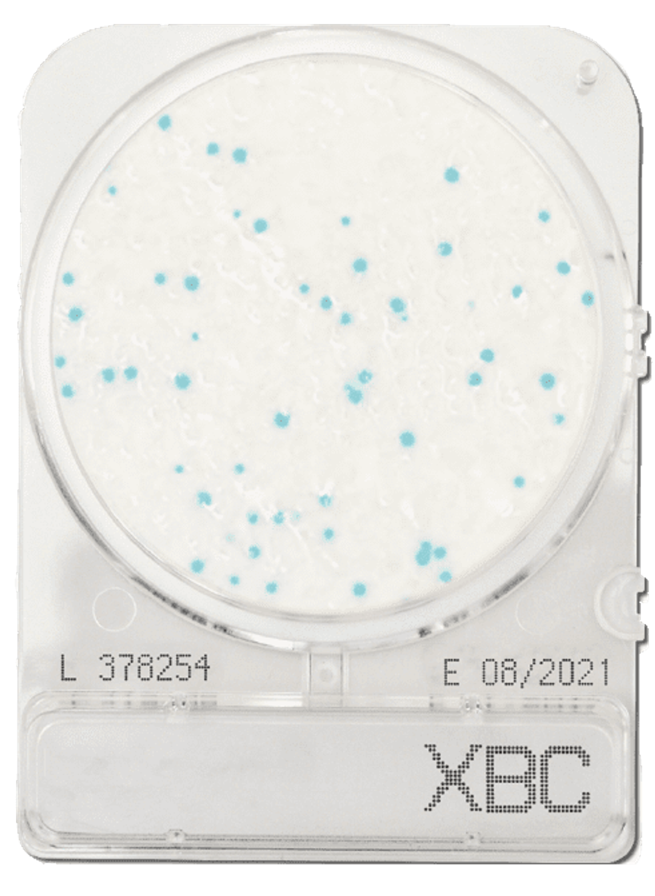 Đĩa Compact Dry Bacillus cereus