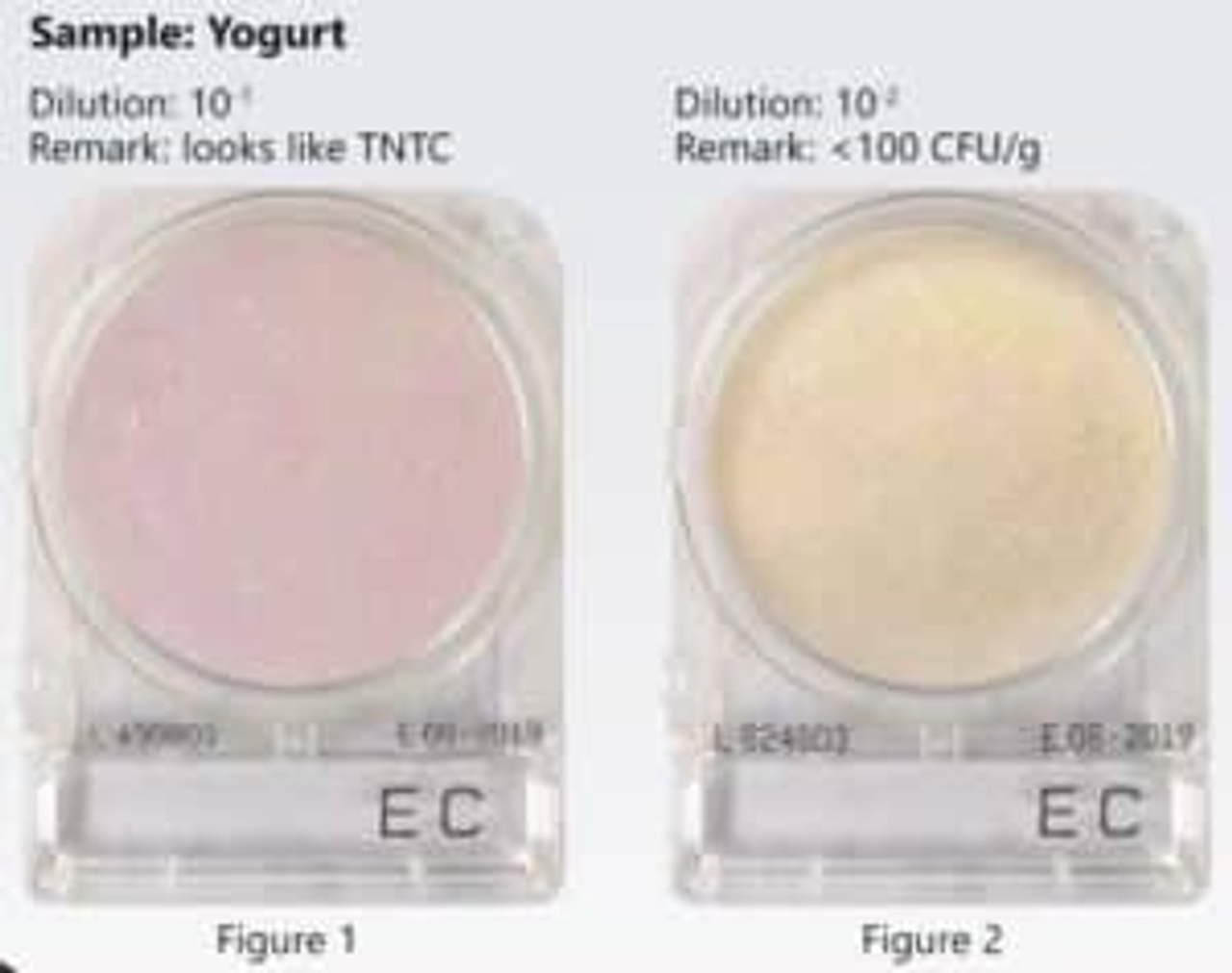 Mẫu sữa chua trên compact dry
