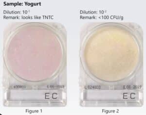 Mẫu sữa chua trên compact dry