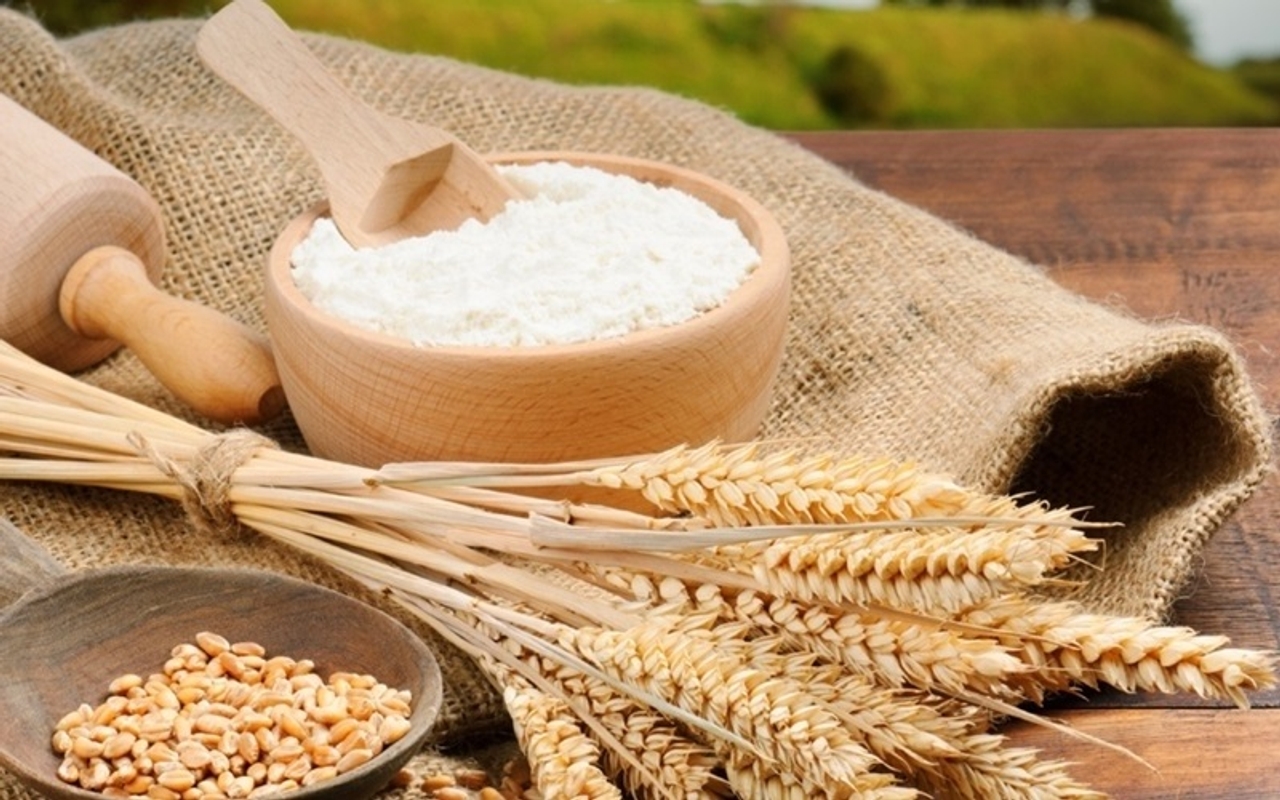 Quản lý chất gây dị ứng