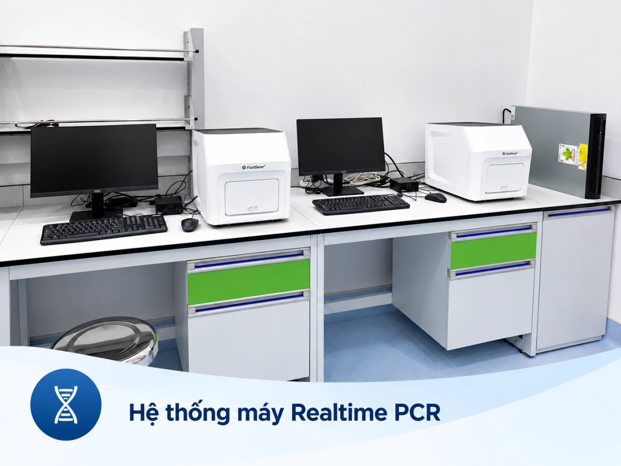 Hệ thống máy Realtime PCR