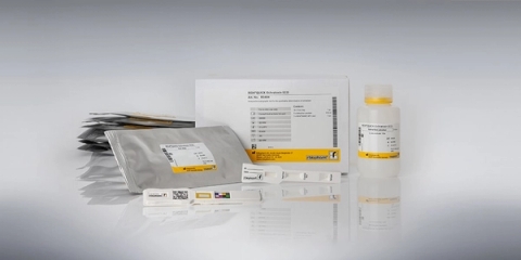 Test nhanh độc tố Ochratoxin