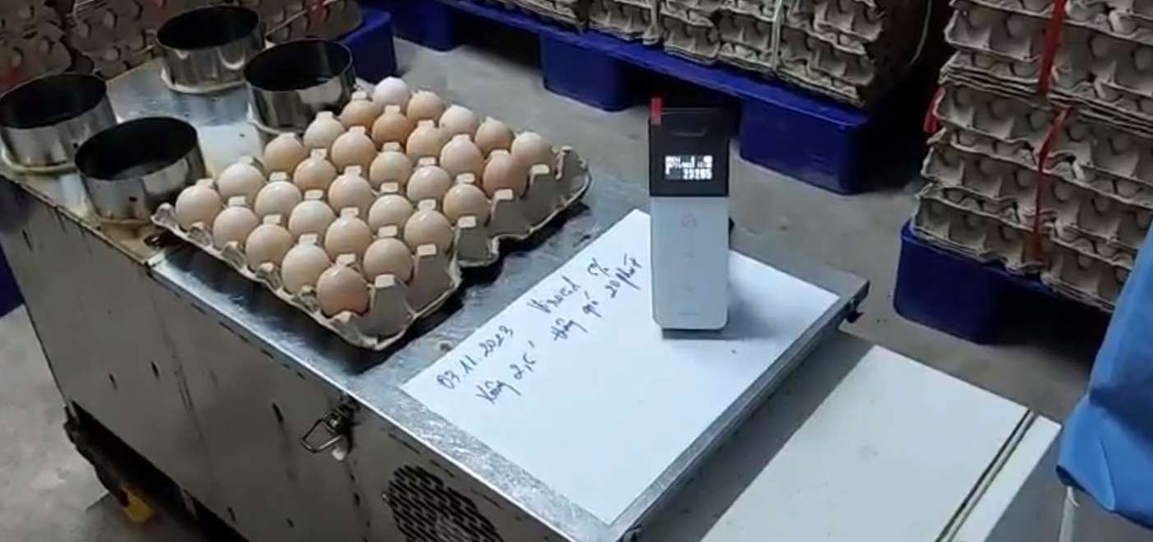 Test bề mặt trứng