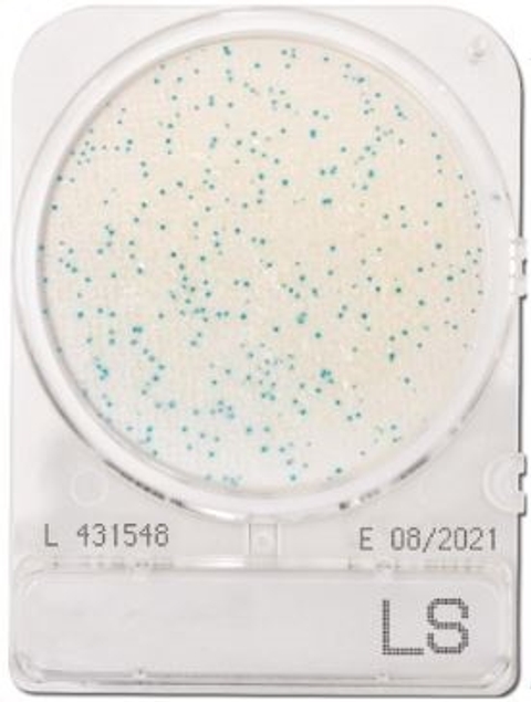 Compact Dry LS Listeria spp