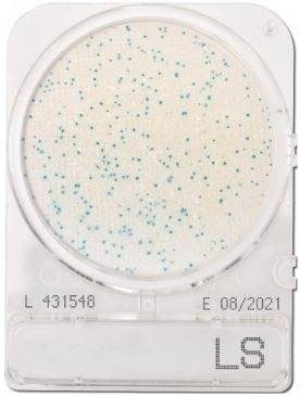 Compact Dry LS Listeria spp