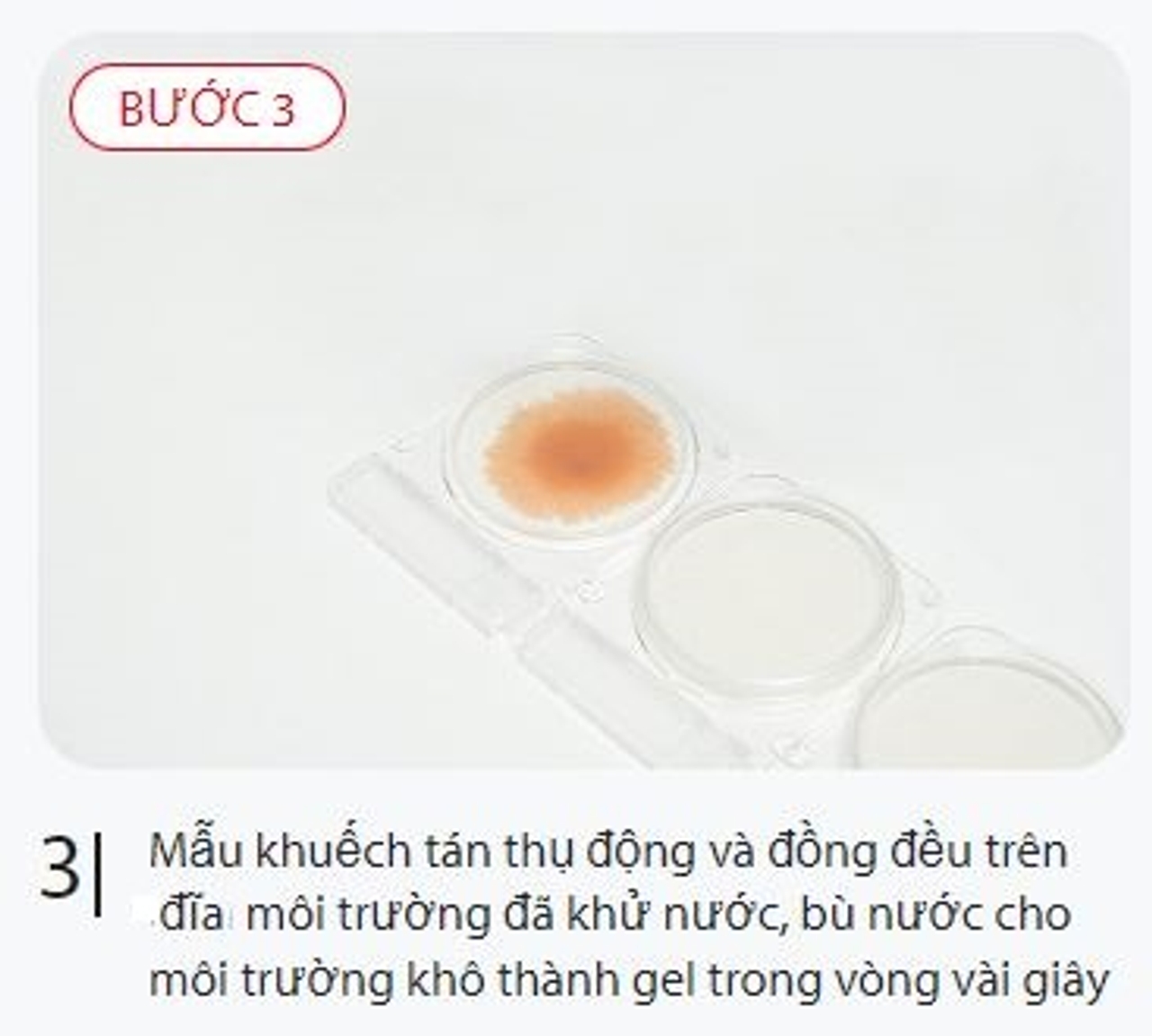 Mẫu khuếch tán vào đĩa Compact Dry