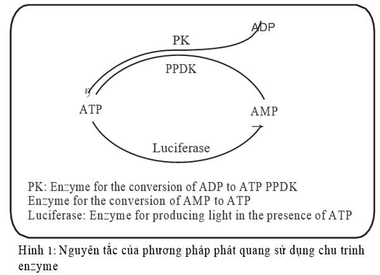 Nguyên lý đo ATP