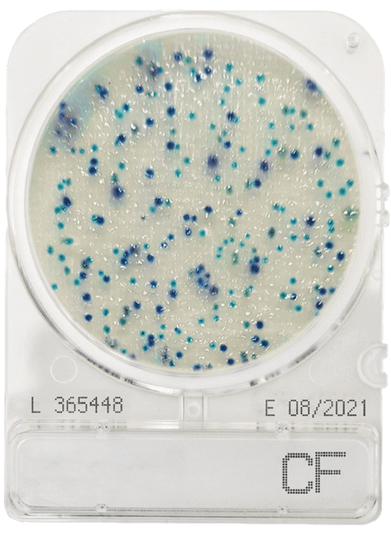 Compact Dry CF Coliform