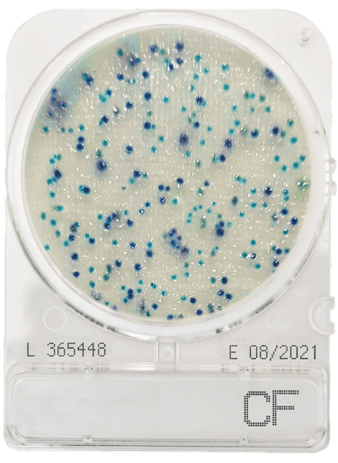 Compact Dry CF Coliform