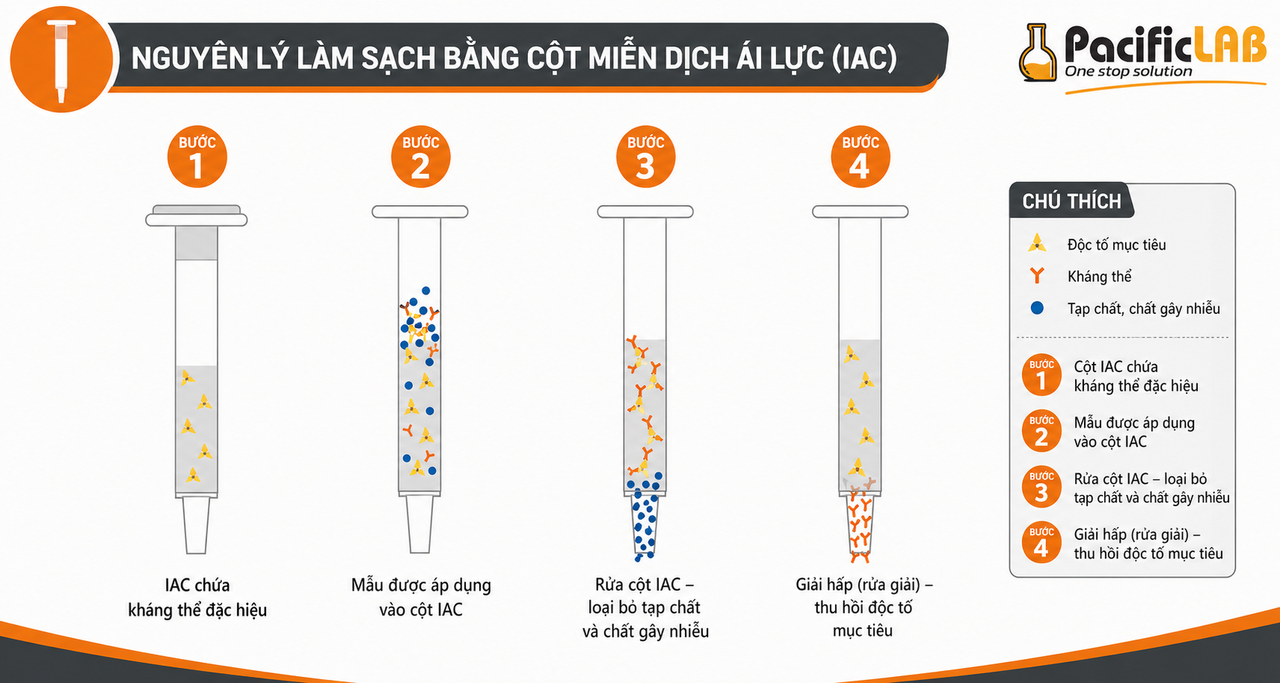 Cơ chế kháng thể kháng nguyên cột ái lực miễn dich