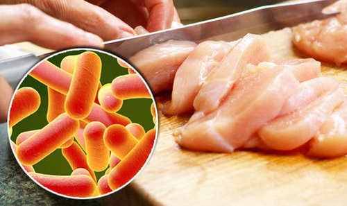 Vi khuẩn Salmonella trong thực phẩm