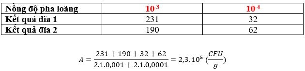 Ví dụ công thức tính CFU